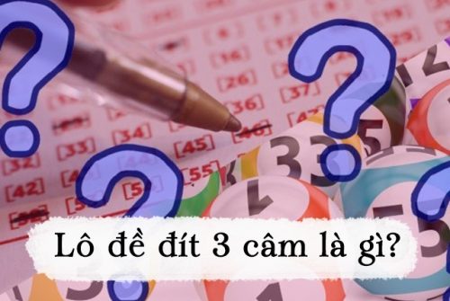 đọc để biết ngay lô đề đít 3 câm đánh con gì chuẩn xác