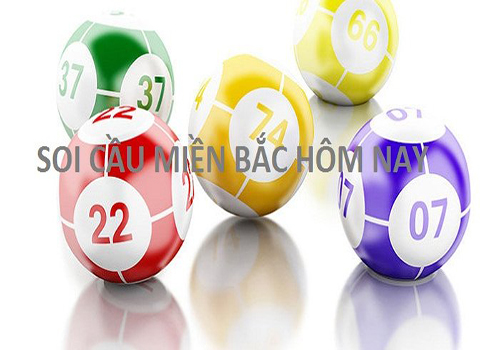 Dự đoán kq xổ số miền bắc ngày 9/11/2025 chính xác nhất